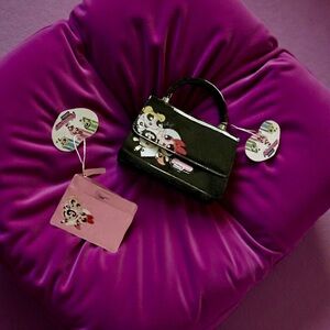 ‧₊‧₊˚✮ The Powerpuff Girls Handbag Clutch & Wallet Classic Vintage Set